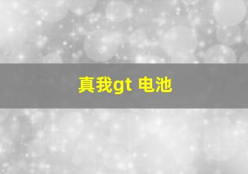 真我gt 电池